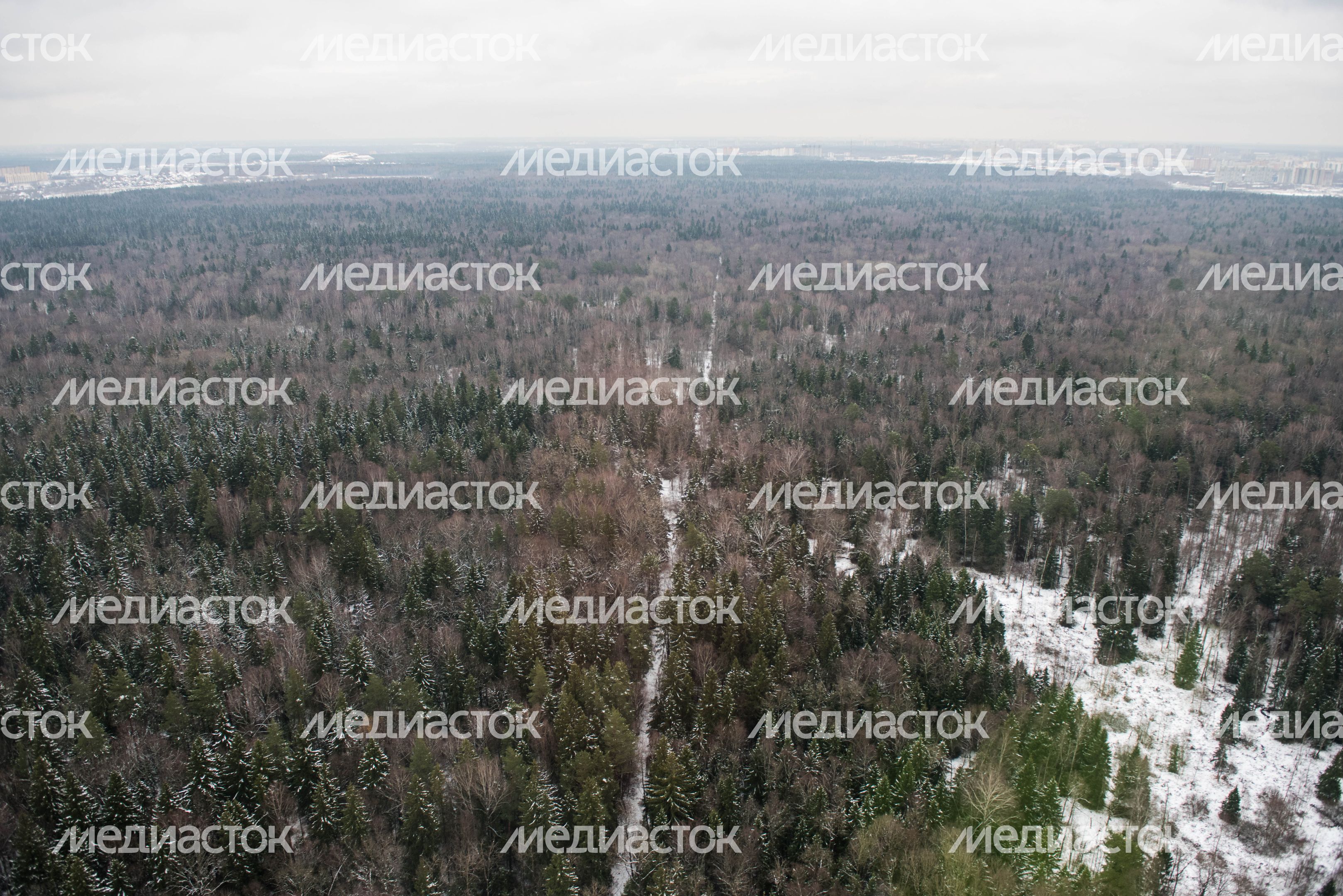 Воздушное такси в Подмосковье