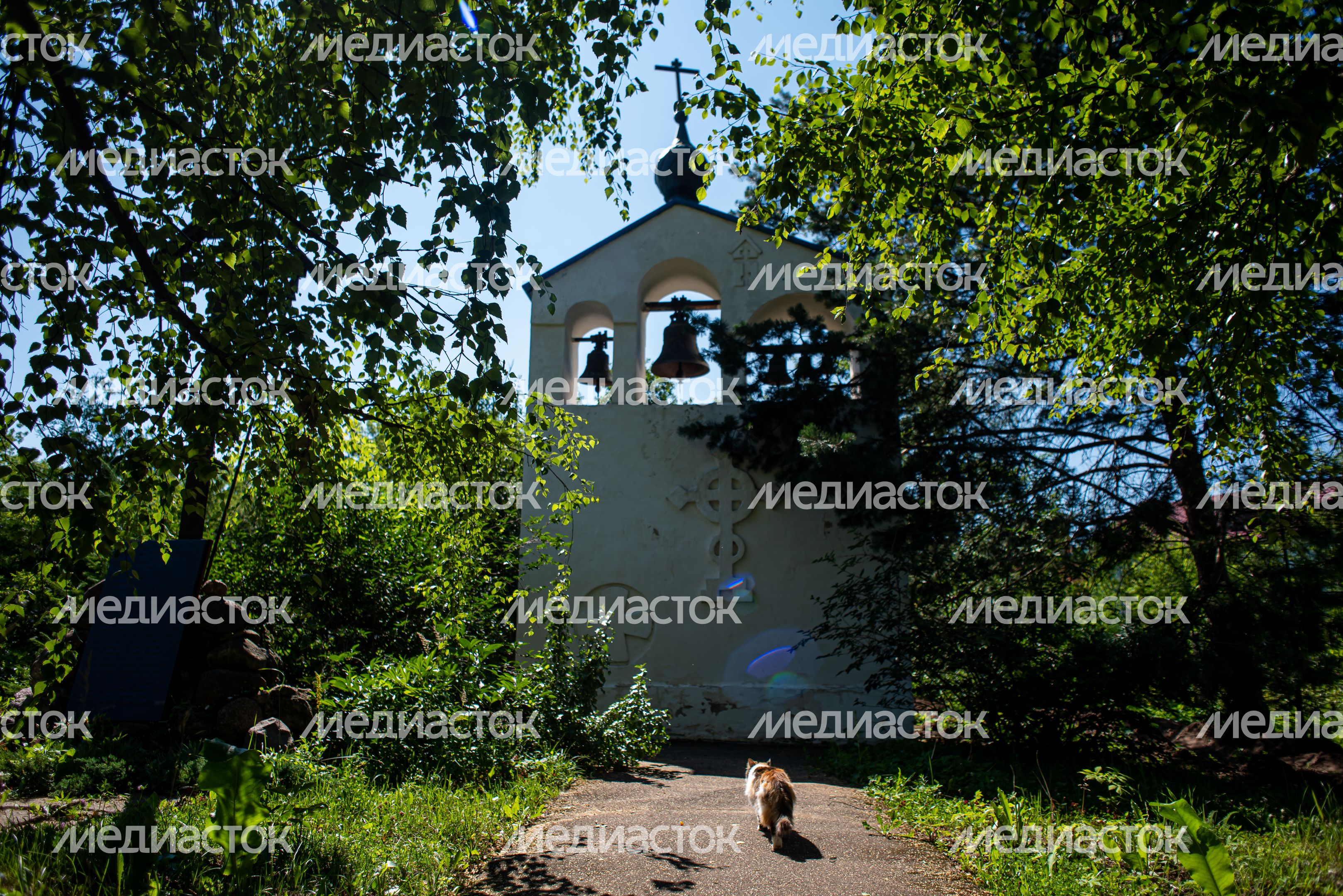 Летние виды города Клин