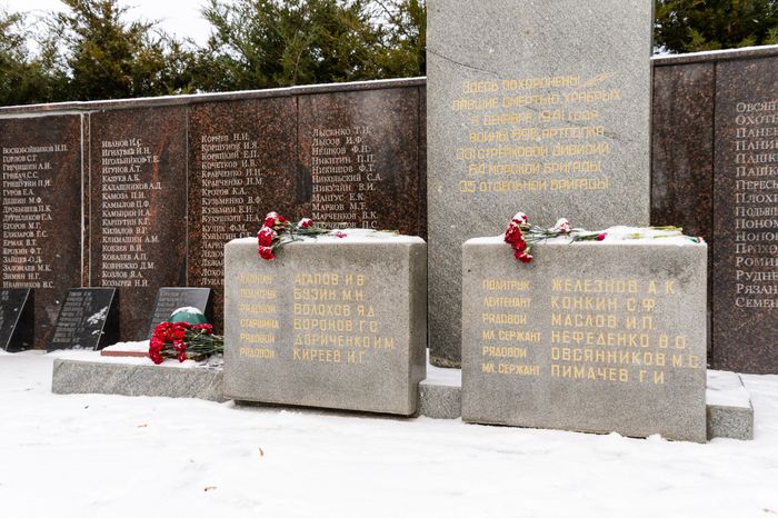 Лобня. Парк «Киово». Зима