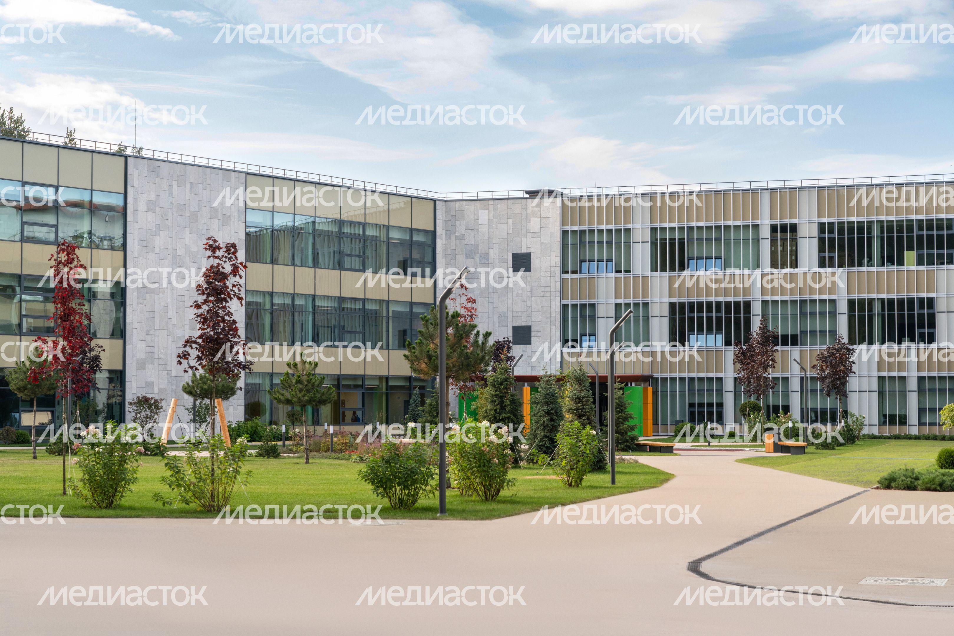 Истра. Областной технолицей им. В.И. Долгих