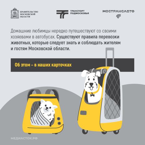 Правила перевозки животных квадрат 02