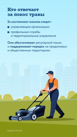 Как ухаживают за газонами вертикаль 02