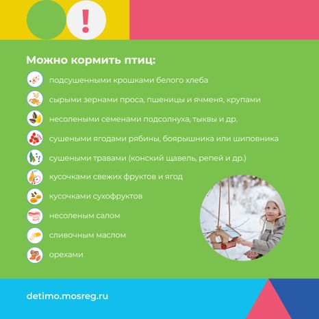 синичкин_день_квадрат_04.jpg