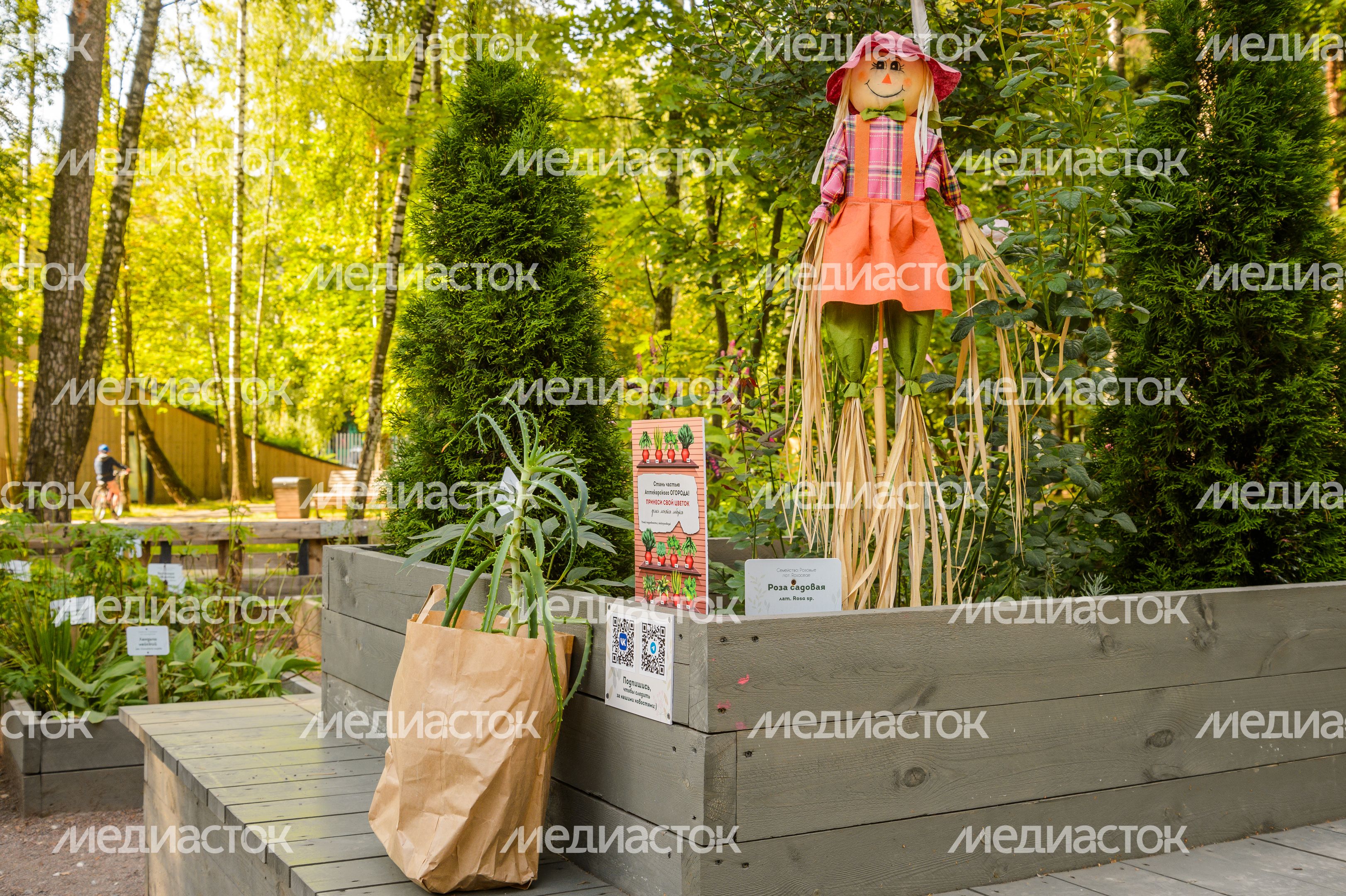 Балашиха. Пестовский парк
