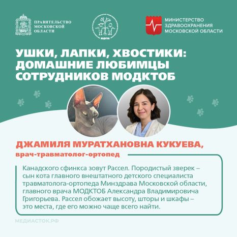 Ушки, лапки, хвостики квадрат 02