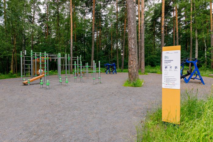 Спортивная площадка в лесопарке «Волкуша» в Лыткарино