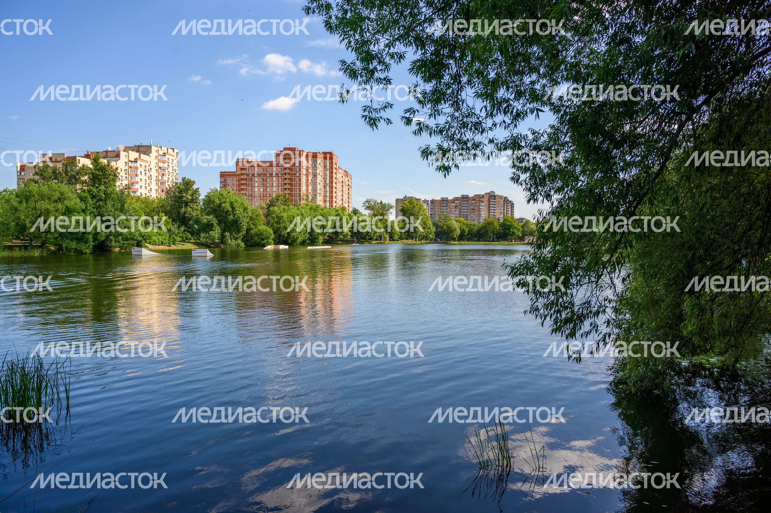 Лето в Наташинском парке Люберец