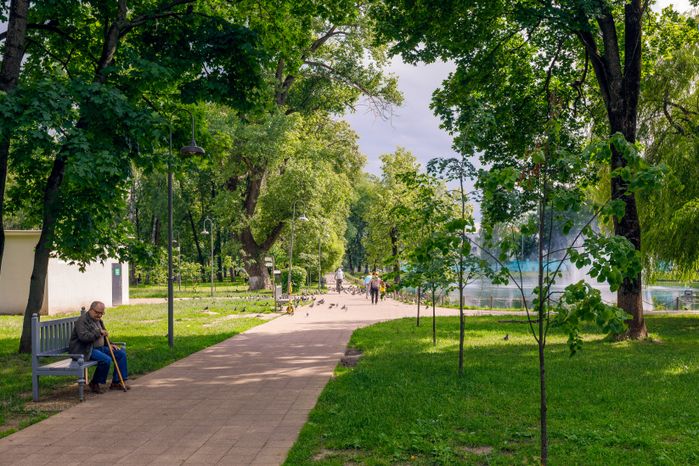 Парк Усадьбы Крафта в Королеве летом