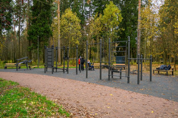 Спортивная площадка в лесопарке «Банный лес» в Красноармейске осенью