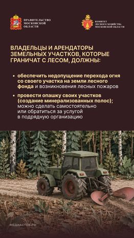 Живете рядом с лесом вертикаль 03