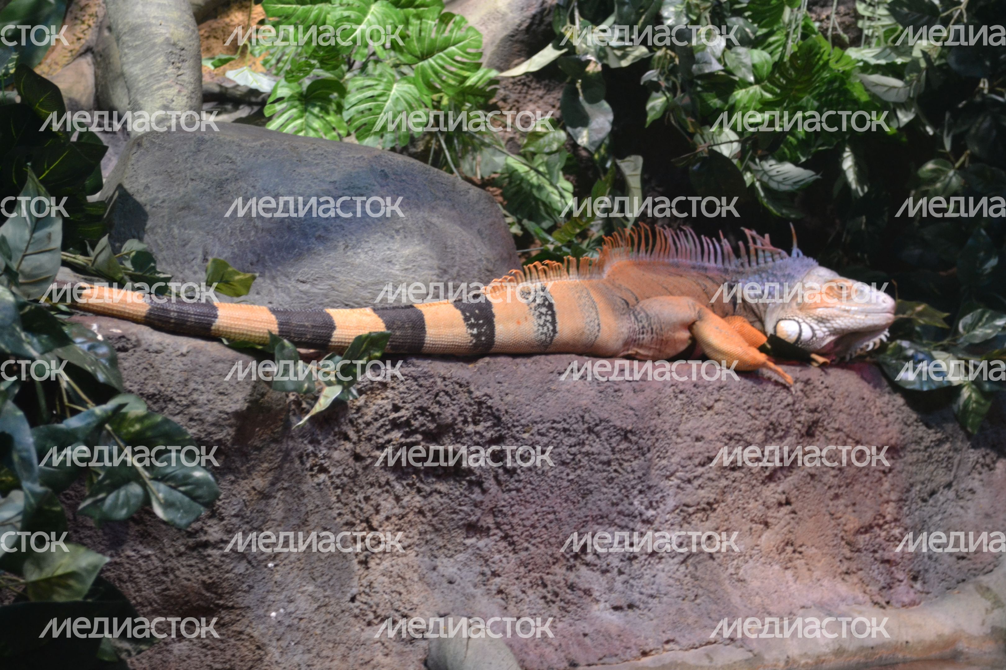 Воронежский океанариум