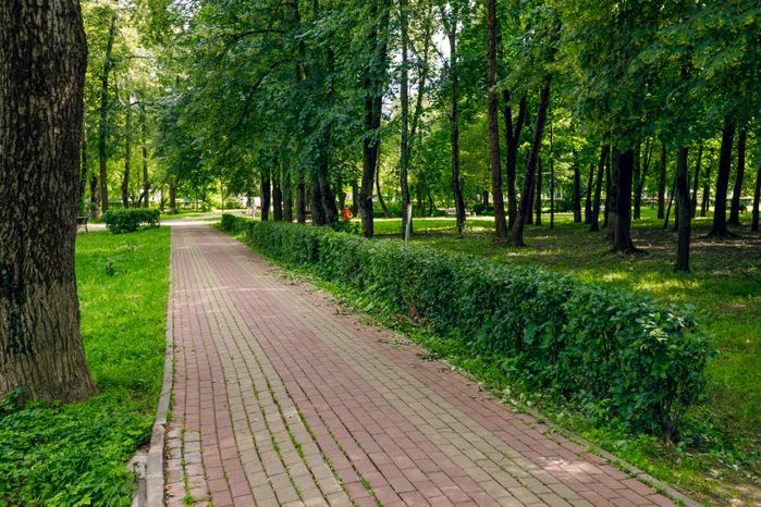 Дорожка для прогулок в летнем парке «Костино» в Королеве