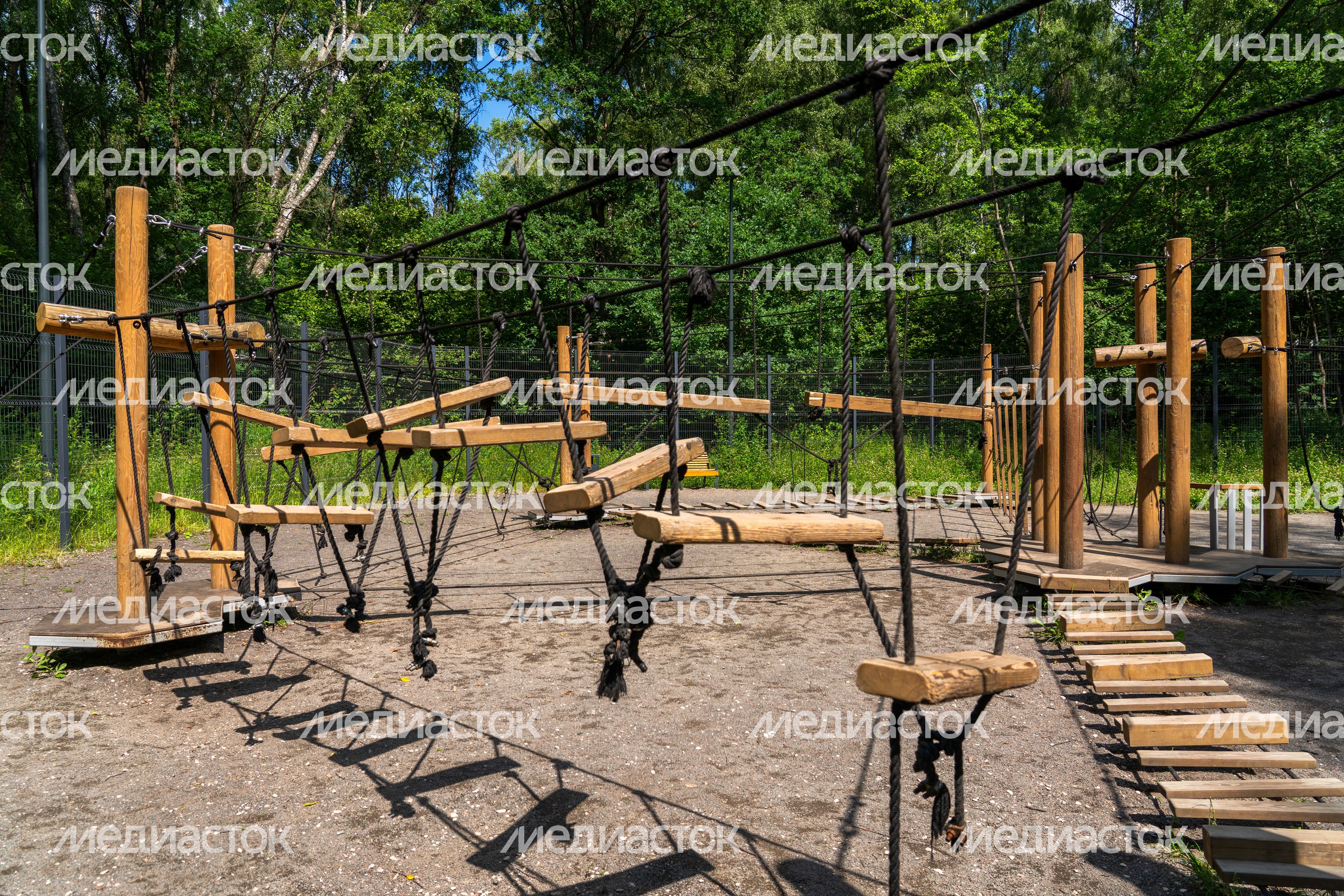 Губернский лесопарк в Чехове летом