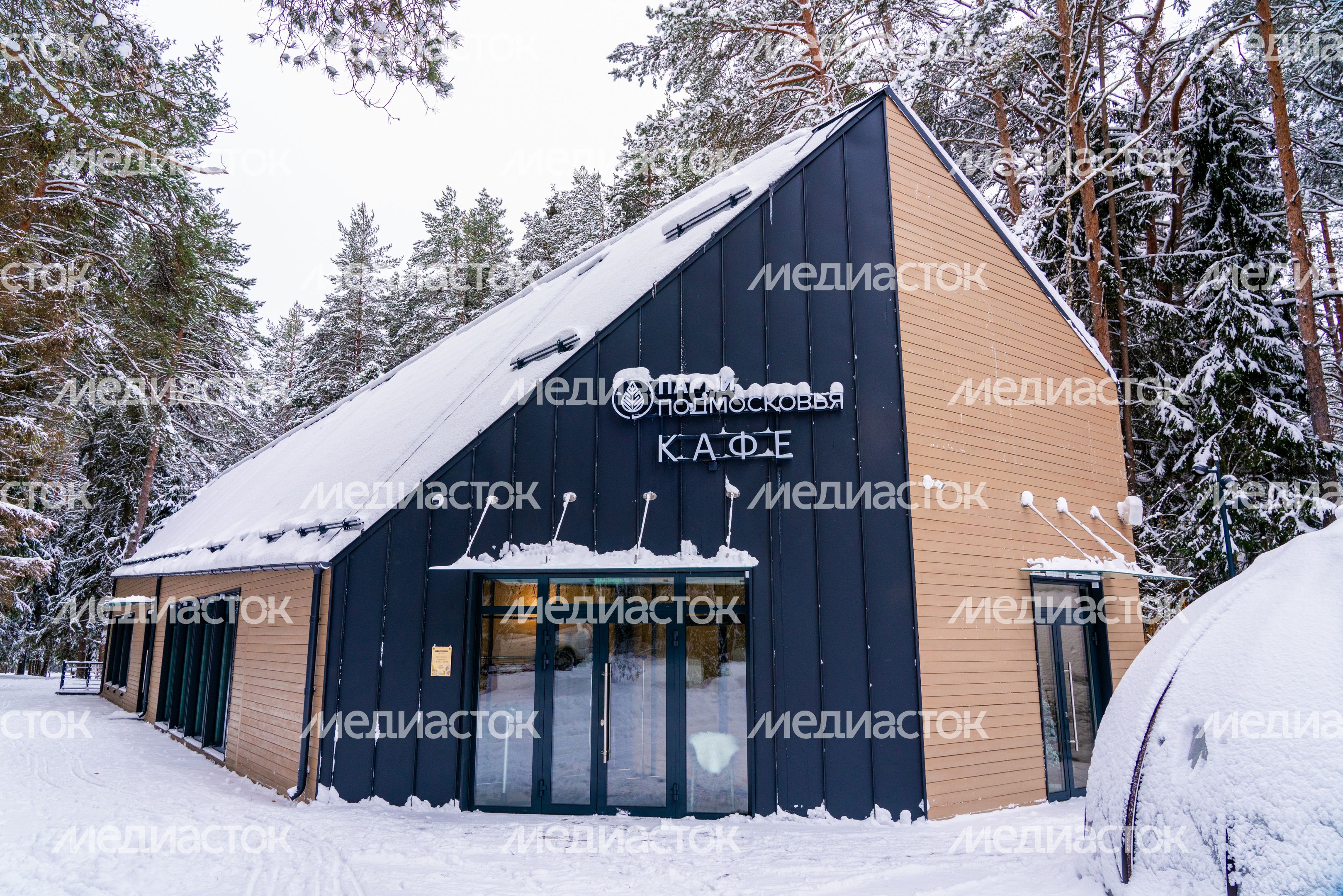 Кафе «Шишки-мишки» в парке «Шишкин лес» в Истре Кафе «Шишки-мишки» в парке «Шишкин лес» в Истре