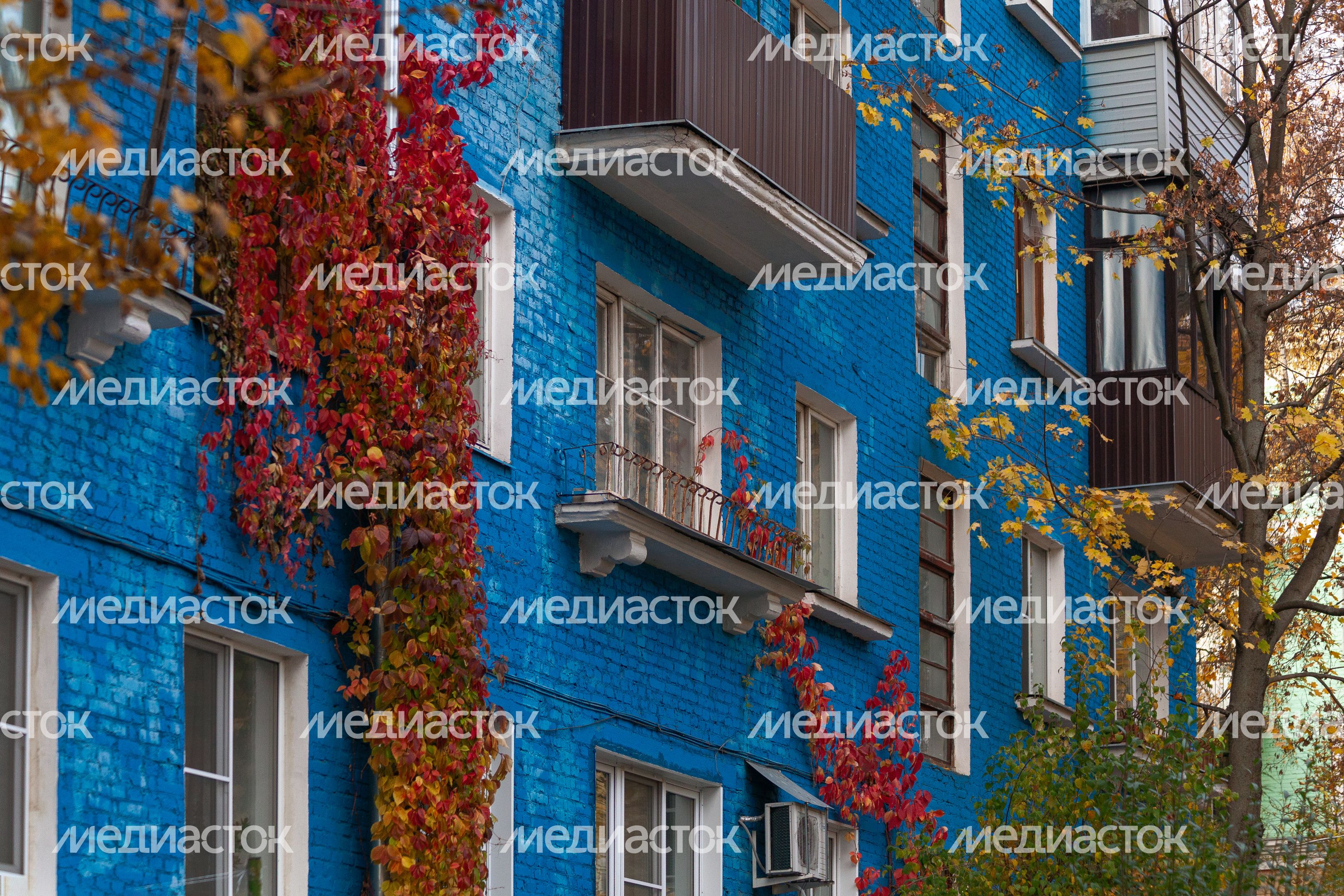 Осенние виды города Дзержинский округа Люберцы Осенние виды города Дзержинский округа Люберцы