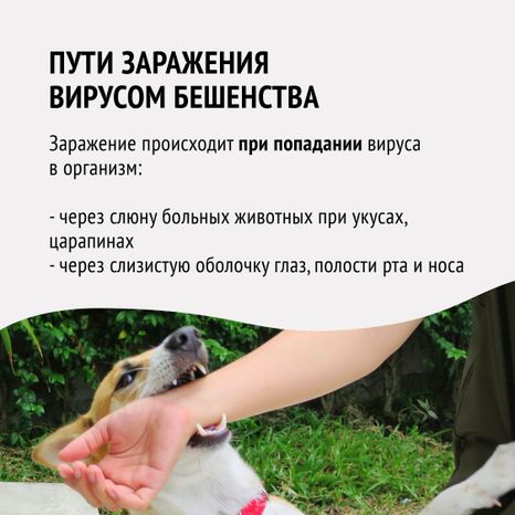 Вакцинация