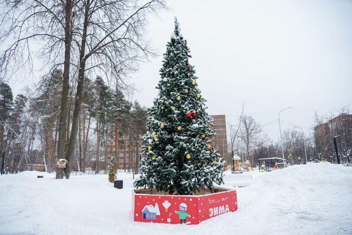 Богородский. Ногинск. Глуховский парк. Зима