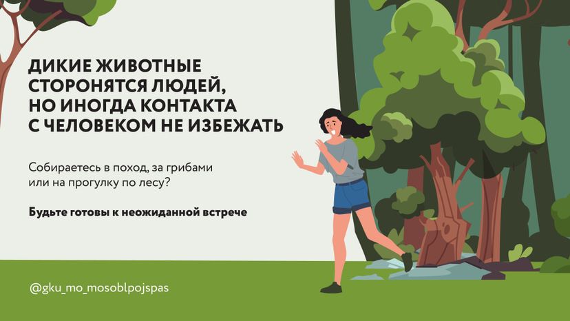 Горизонтали Безопасность в лесу 02.jpg