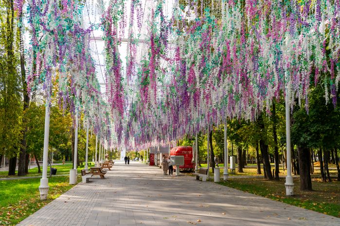 Солнечный Истринский городской парк осенью