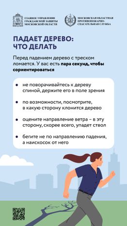Аварийные деревья_Вертикаль-04.jpg