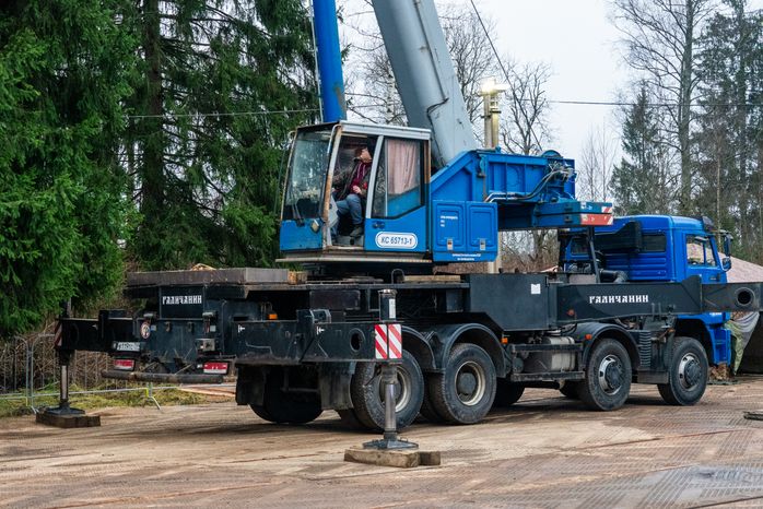 Главную новогоднюю елку страны спилили в Рузском округе