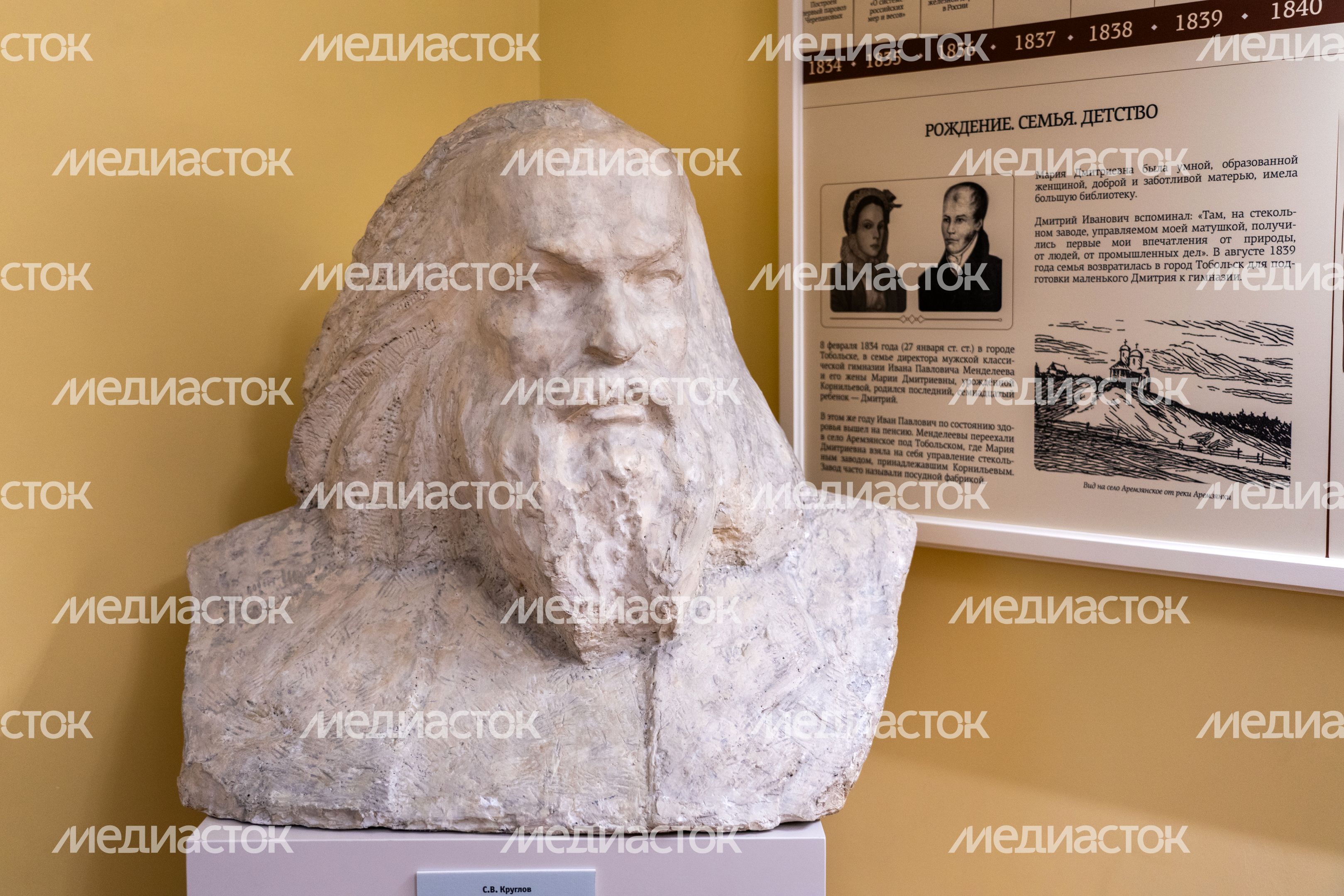 Бюст Дмитрия Менделеева в усадьбе Боблово в Клину Бюст Дмитрия Менделеева в усадьбе Боблово в Клину