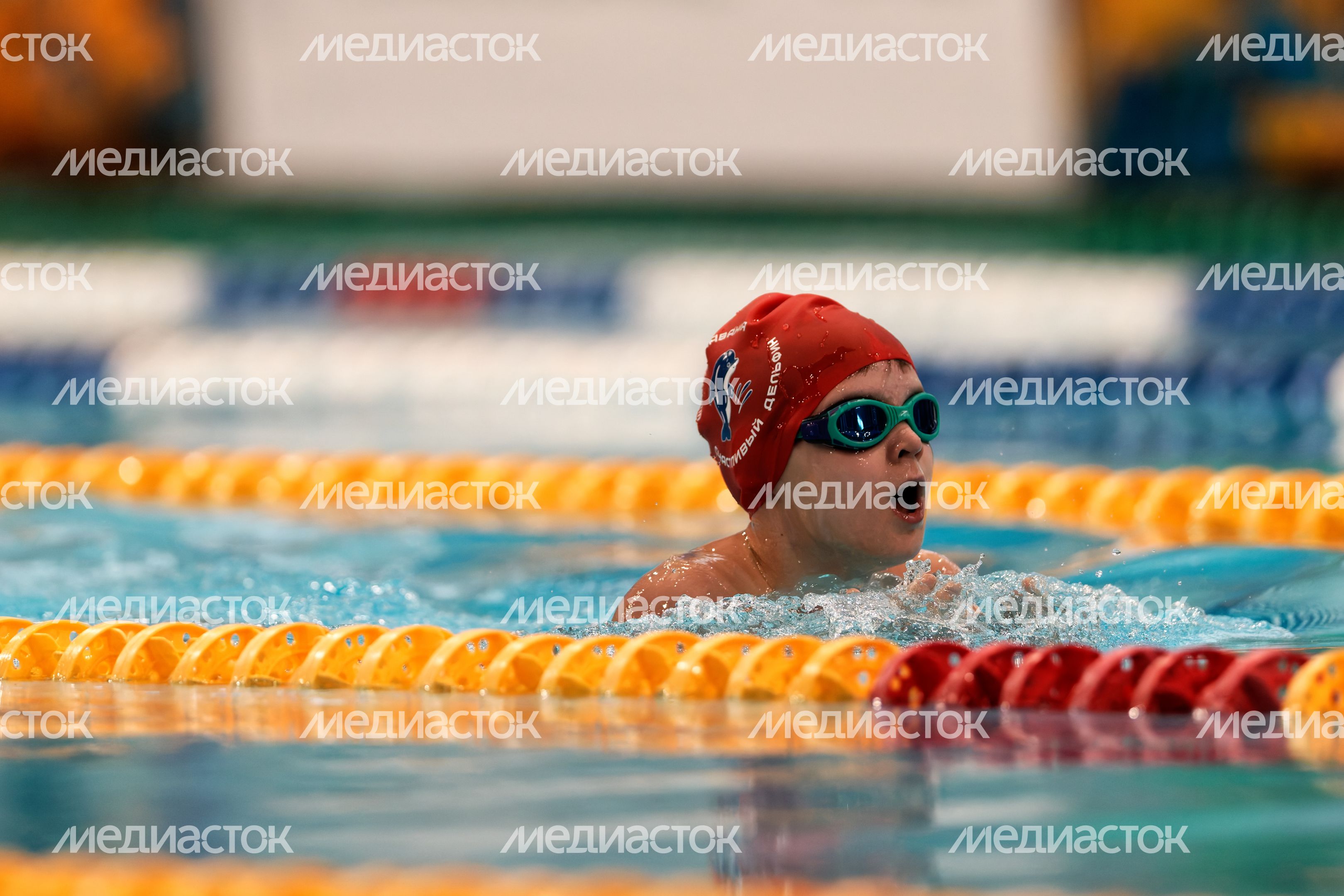 Первый турнир нового сезона Кубка чемпионов Swimcup по плаванию Первый турнир нового сезона Кубка чемпионов Swimcup по плаванию