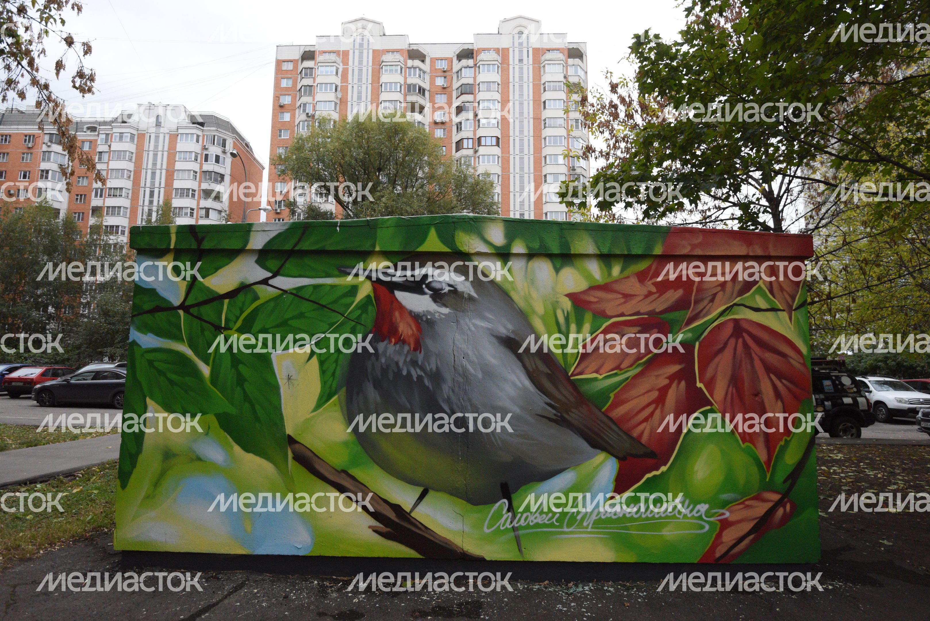Граффити на улицах Москвы Граффити на улицах Москвы
