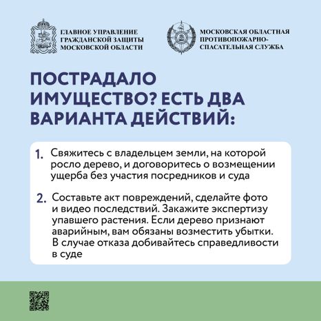 Аварийные деревья_Квадрат-09.jpg