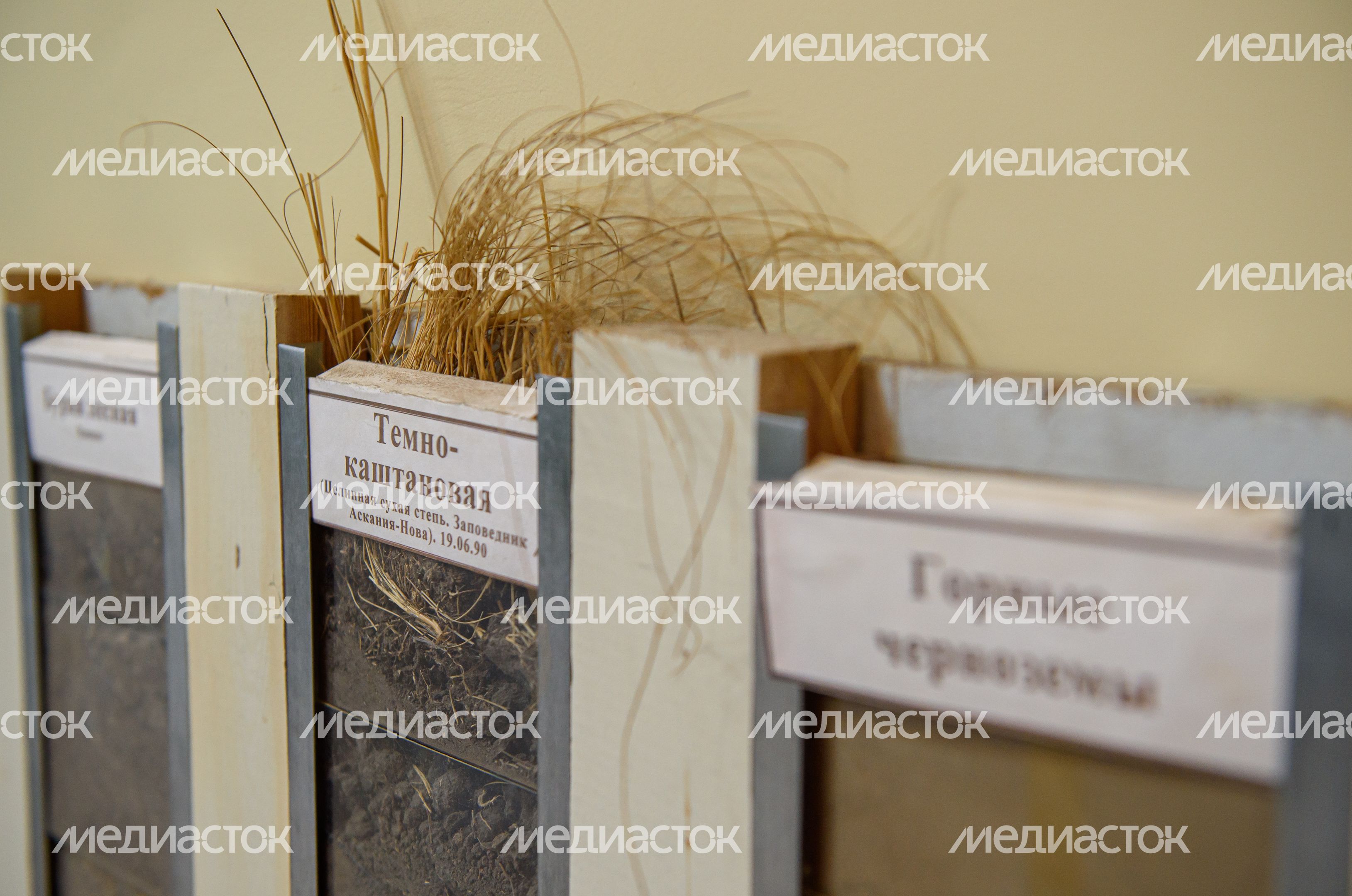 Пущинский музей экологии и краеведения