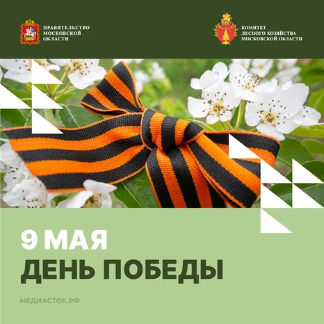 Открытка 9 мая 2026 1 Квадрат 01