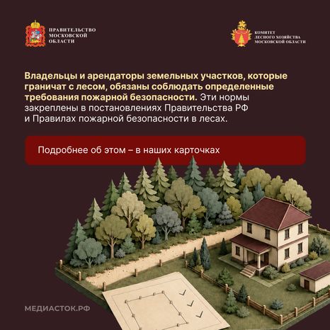 Живете рядом с лесом квадрат 02