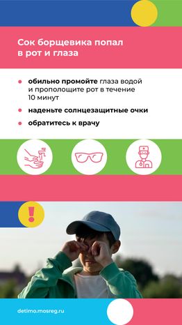 Вертикаль_Борщевик Сосновского_07.png