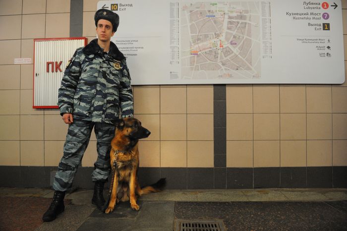 Досмотровые зоны Московского метрополитена