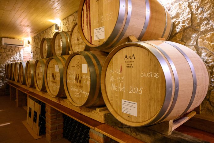 Дубовые бочки для выдержки вина на винодельне Nordwine в деревне Дергаево Раменского круга