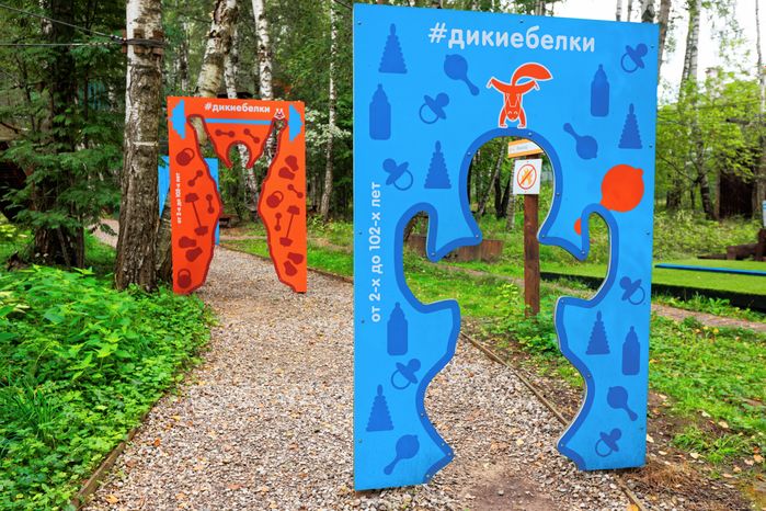 Парк приключений «Дикие белки» в округе Чехов