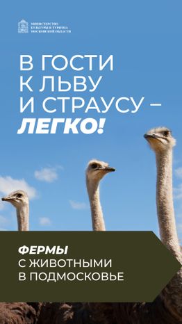 Фермы с животными