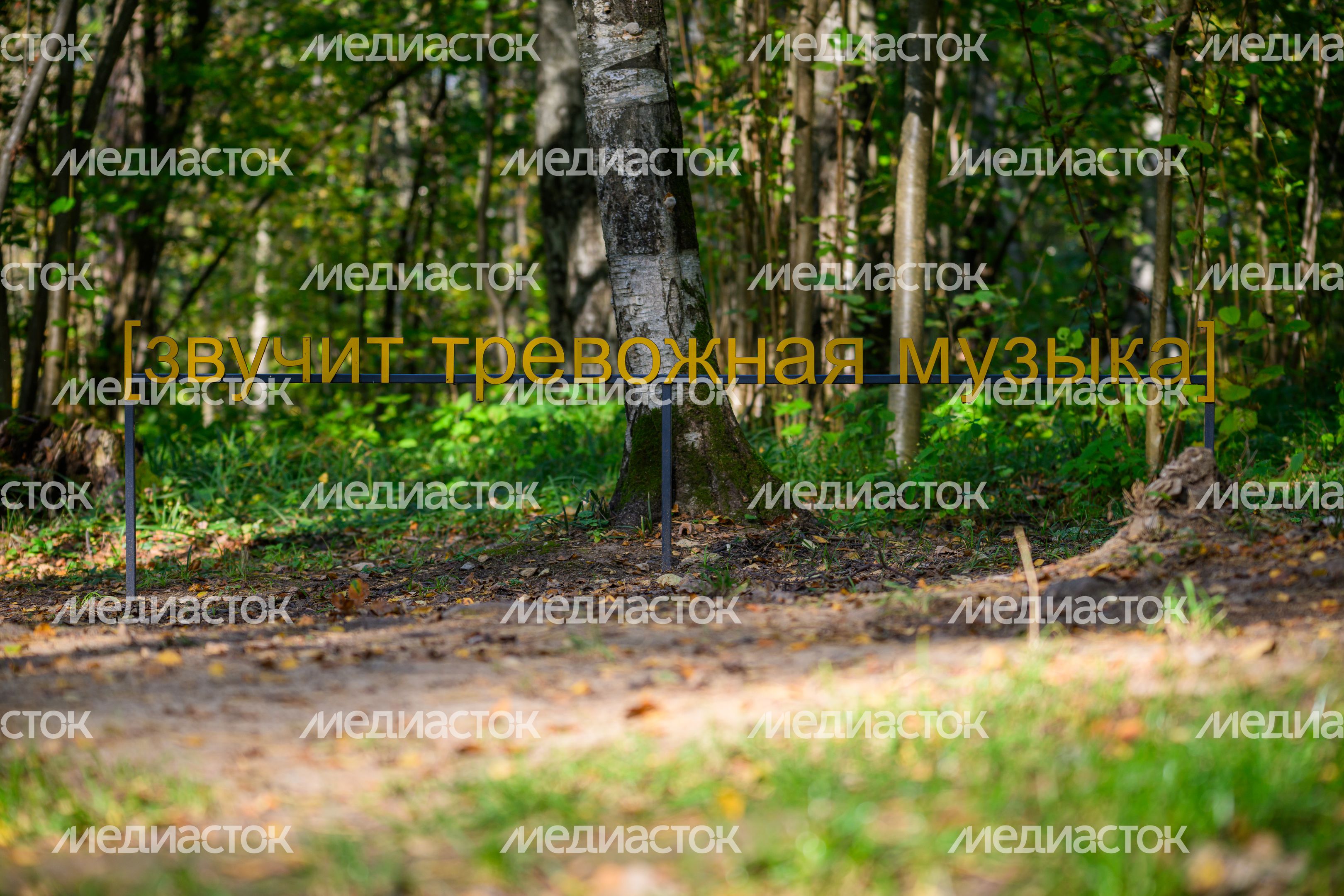Арт-объект «Субтитры» группы «МишМаш» в парке Малевича Одинцовского округа осенью Арт-объект «Субтитры» группы «МишМаш» в парке Малевича Одинцовского округа осенью