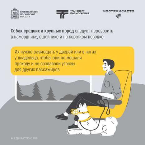 Правила перевозки животных квадрат 05