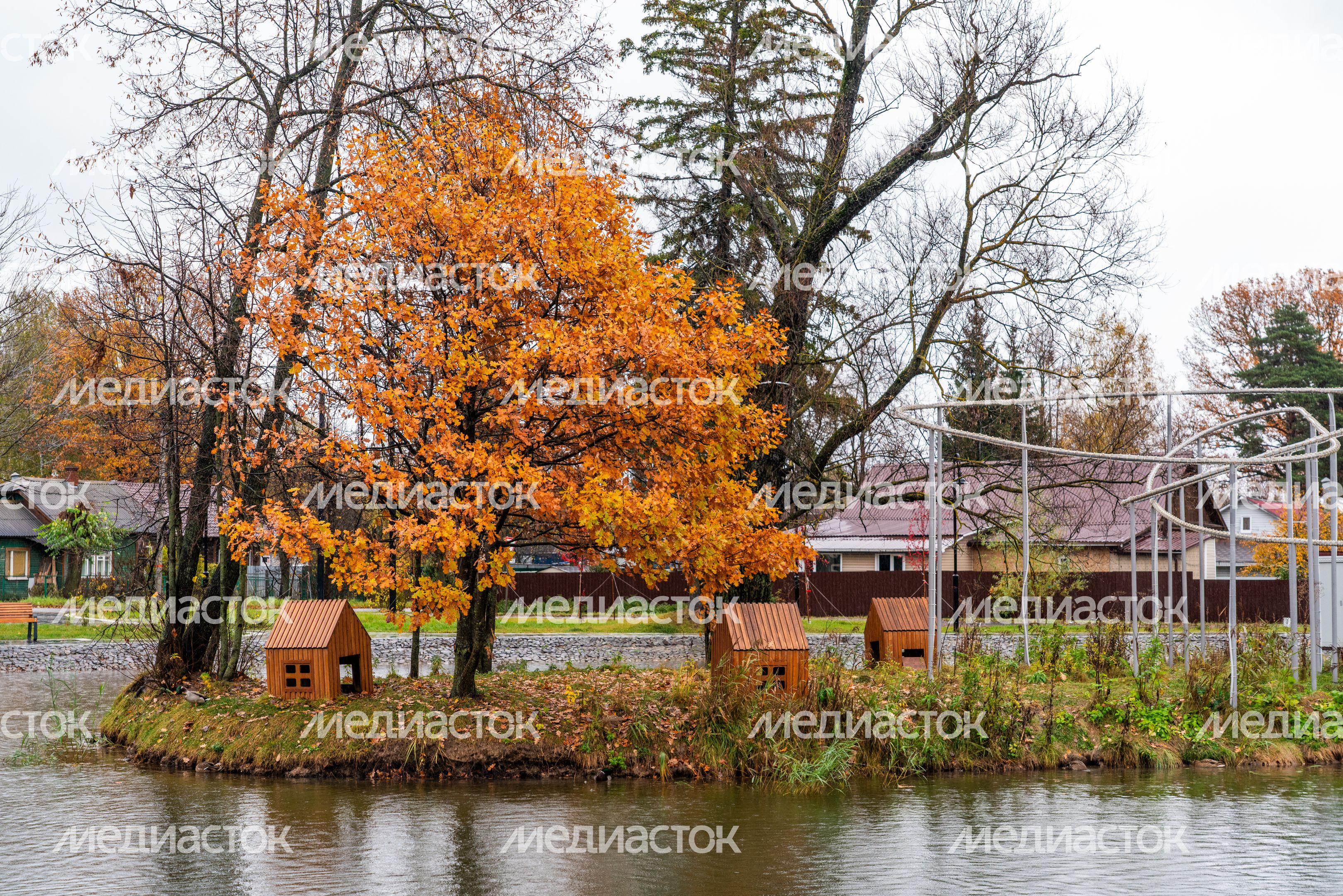 Истра. Георгиевский сквер в Дедовске осенью