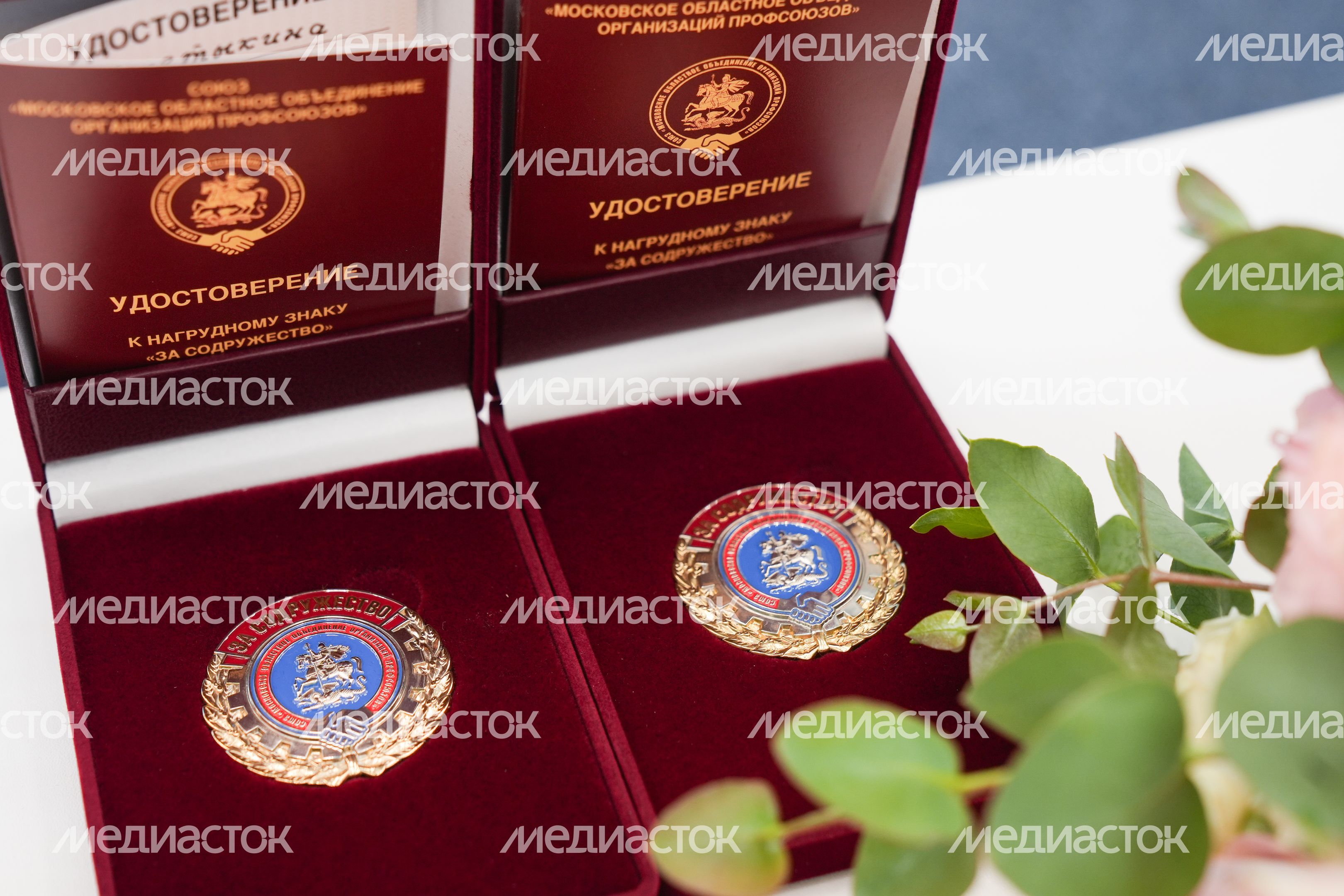 Подмосковных медиков поздравили с профессиональным праздником