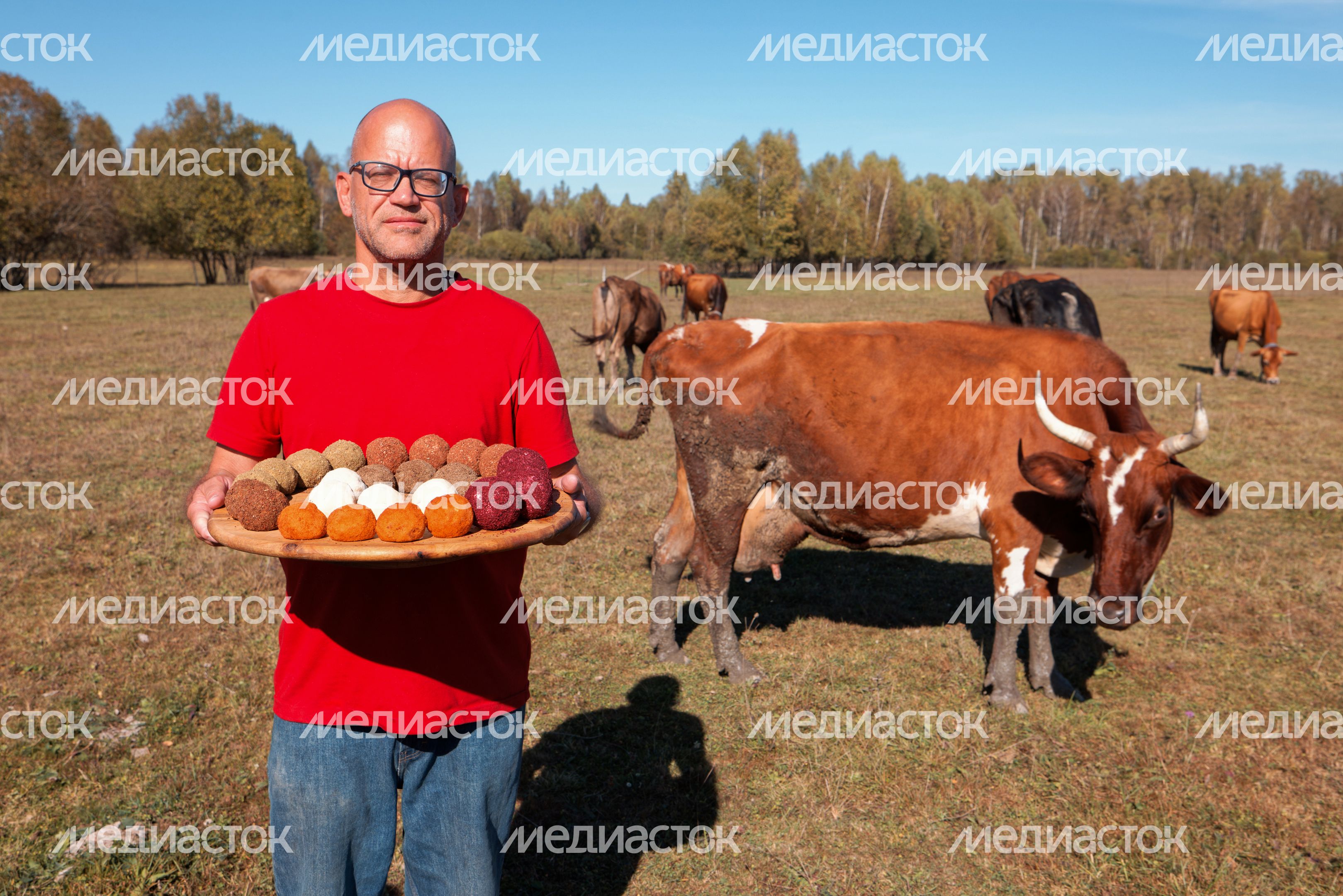 Молочная ферма "Черный лис" в Чехове Молочная ферма "Черный лис" в Чехове