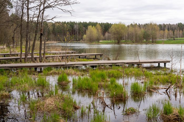 Мещерский парк в Одинцовском округе. Весна