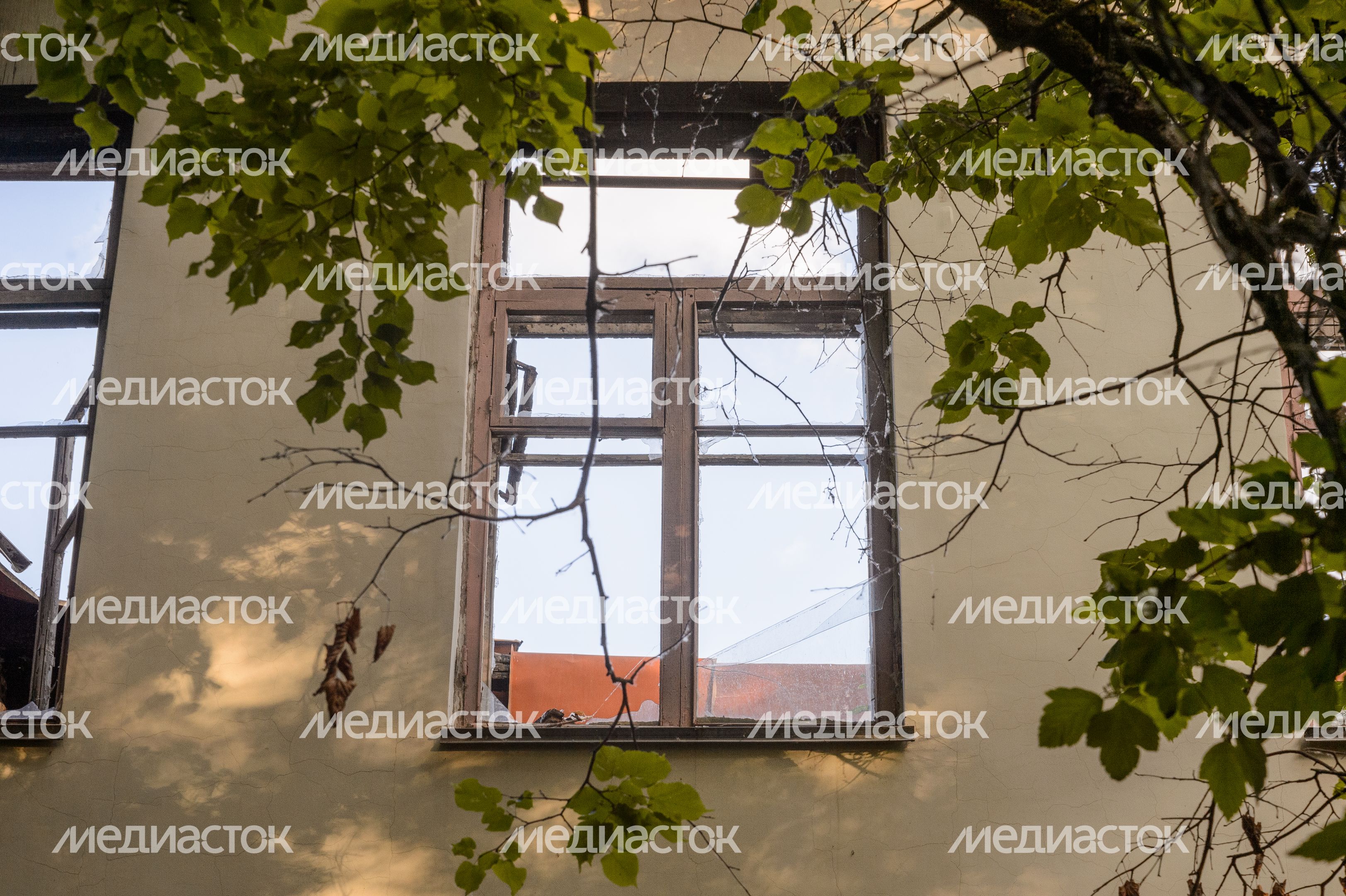 Усадьба Пехра-Яковлевское