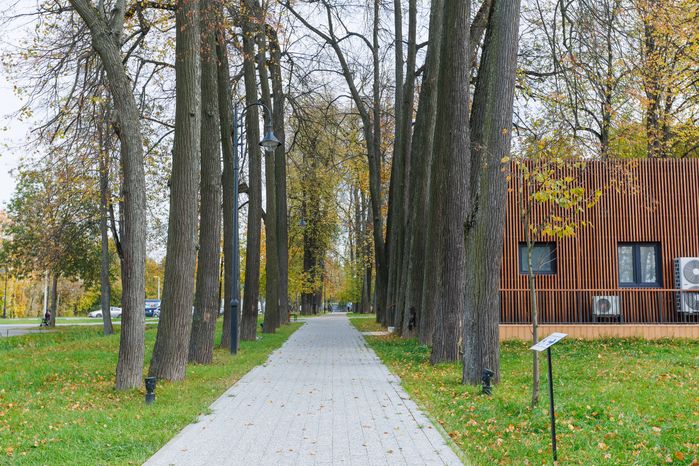 Парк «Киово» в Лобне осенью