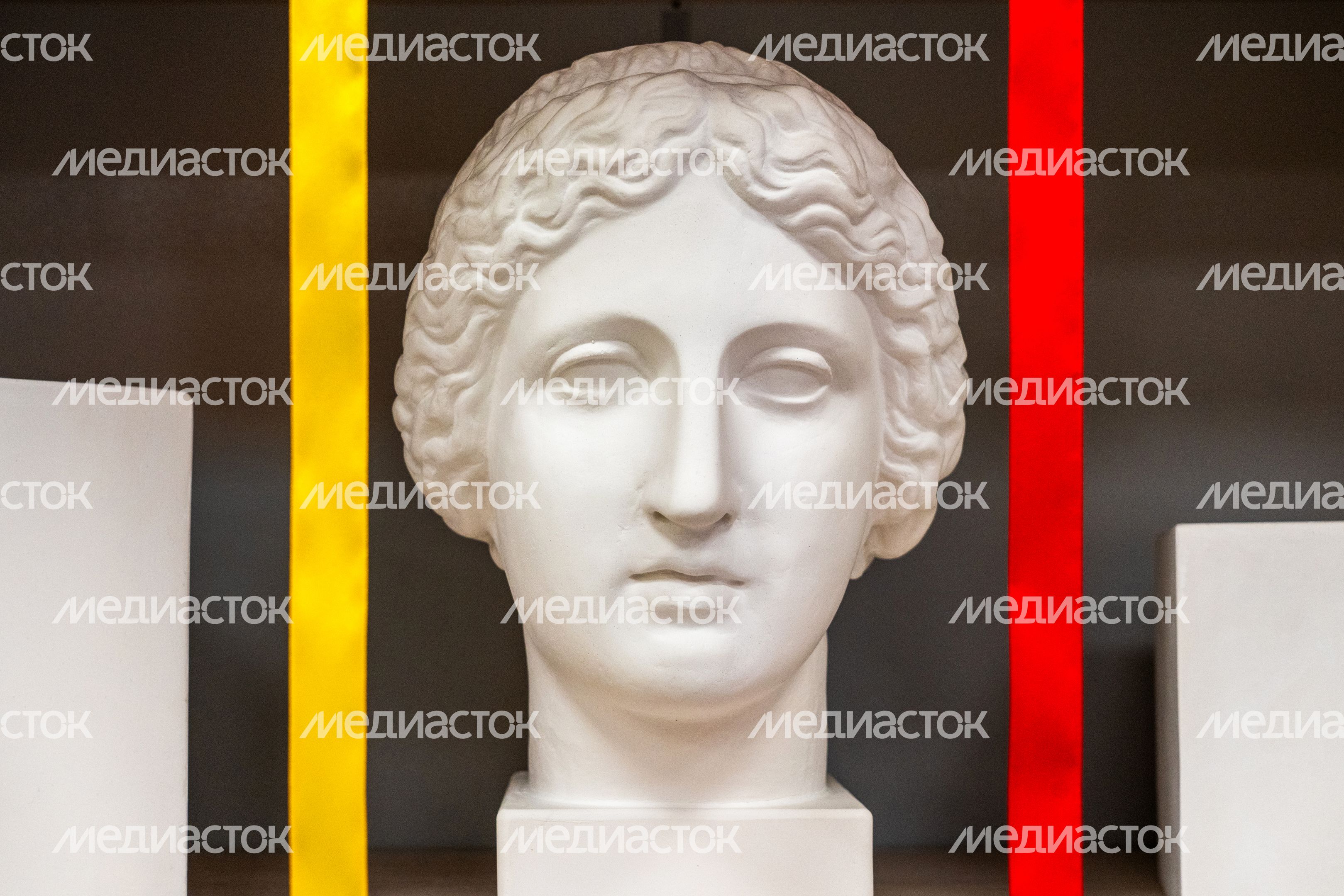 Голова Венеры в кабинете изо школы №29 им. П.И. Забродина в Подольске Голова Венеры в кабинете изо школы №29 им. П.И. Забродина в Подольске