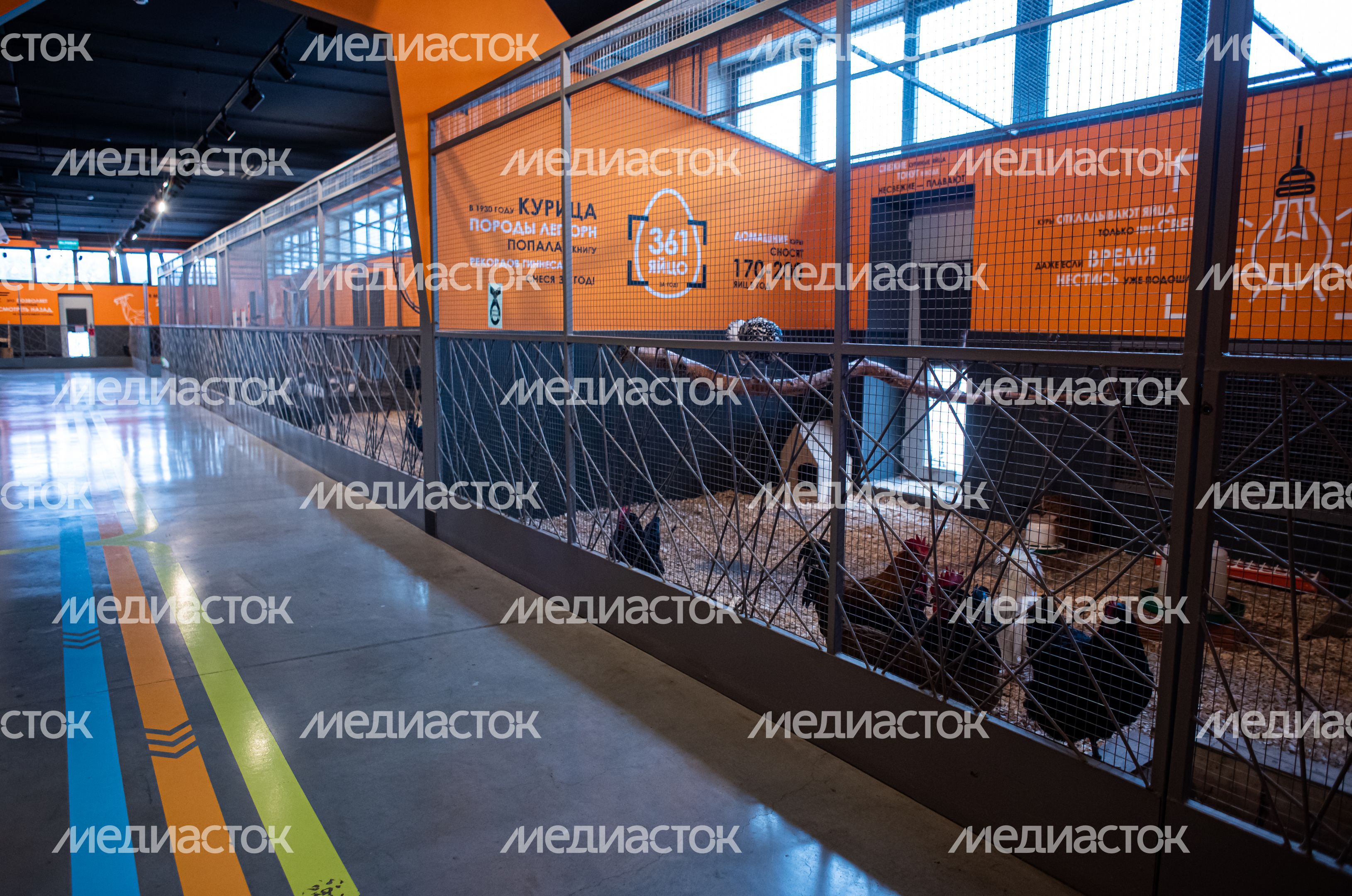 ЗооСад Конноспортивного комплекса «Дивный»