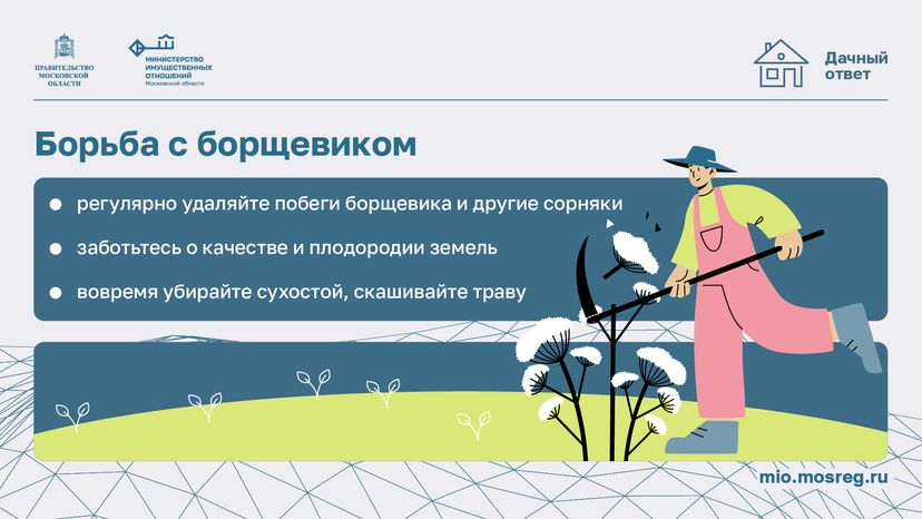 Дачный сезон штрафы-горизонталь-05