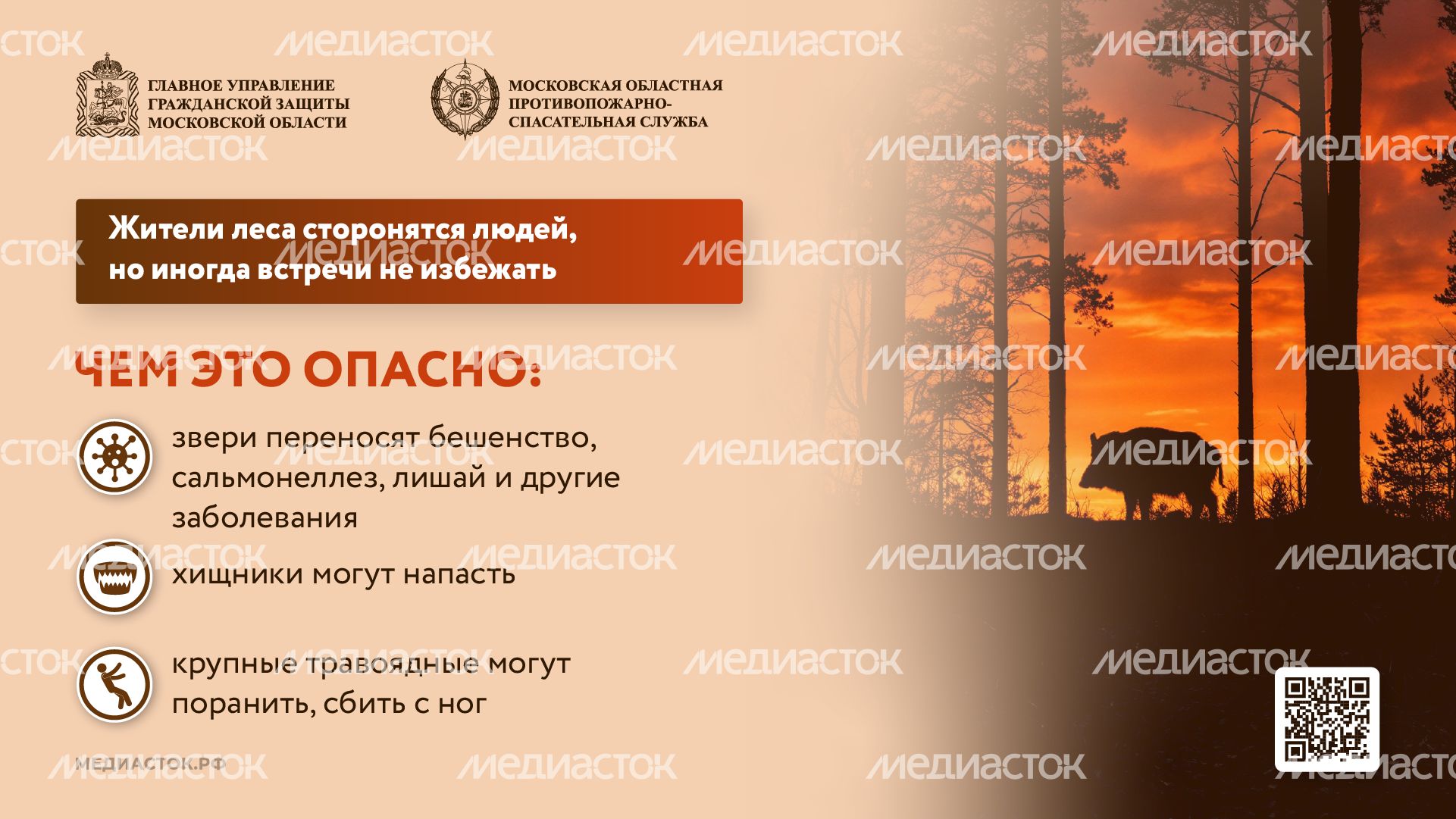 Что делать при встрече с диким животным горизонталь 02 Что делать при встрече с диким животным горизонталь 02