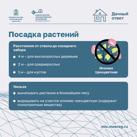 Дачный сезон штрафы-квадрат-06